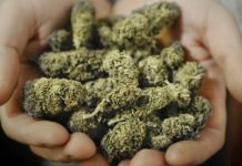 Притвор за дилер со дрога