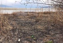 ИСТРАГА ЗА УНИШТУВАЊЕ НА ЗАШТИТЕНИОТ ПОЈАС НА ОХРИДСКОТО ЕЗЕРО