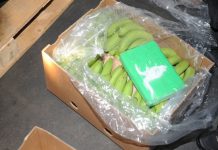 Скопјанец обвинет за шверц на еден килограм кокаин