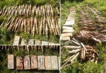 Голема заплена на оружје и муниција во Струшко – осомничени нема